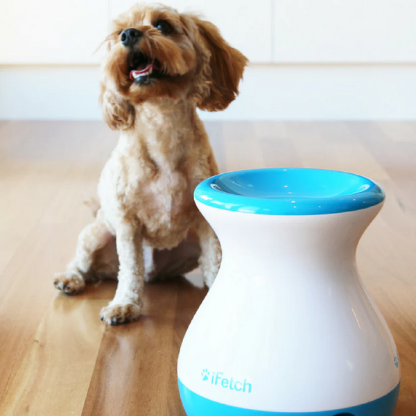 iFetch Frenzy