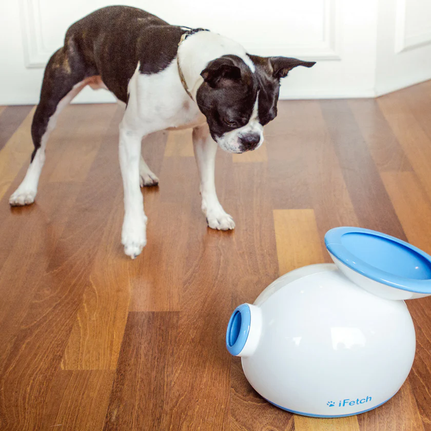 iFetch Balls  Small (PK 5)