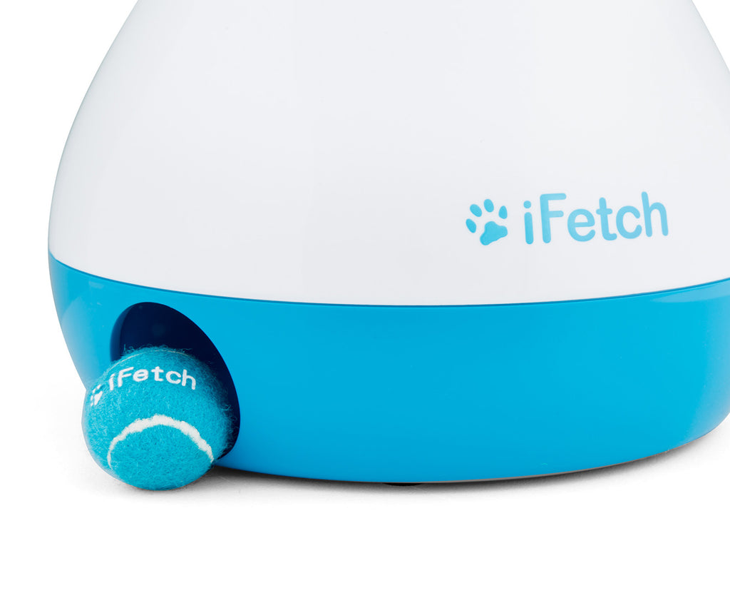 iFetch Frenzy