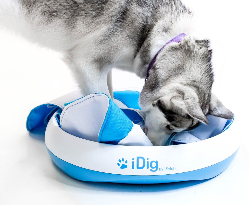 iFetch iDig Stay