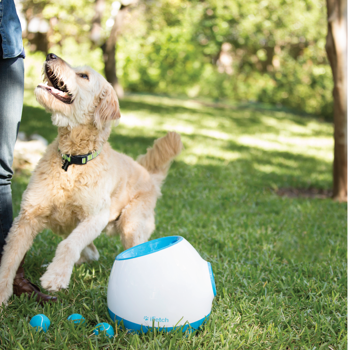 Ifetch too deals battery