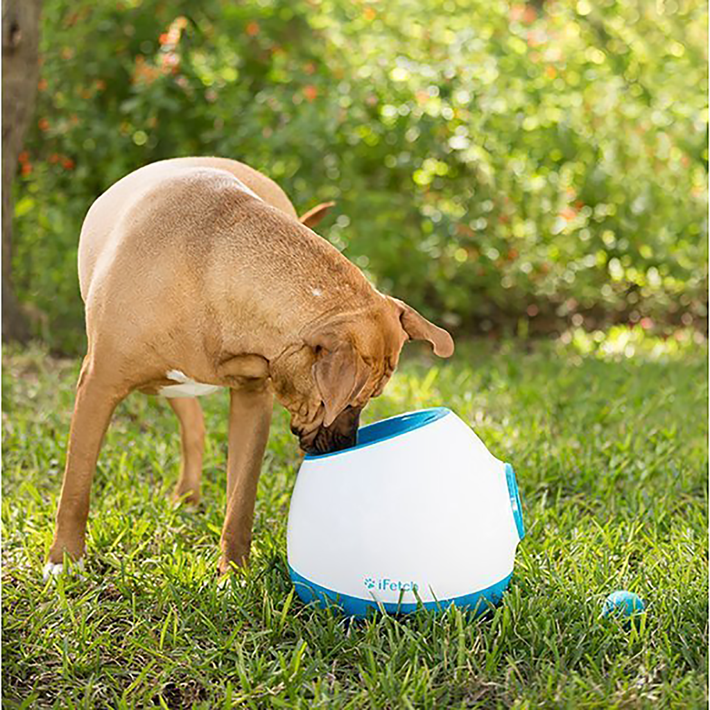 iFetch Too - REFURBISHED